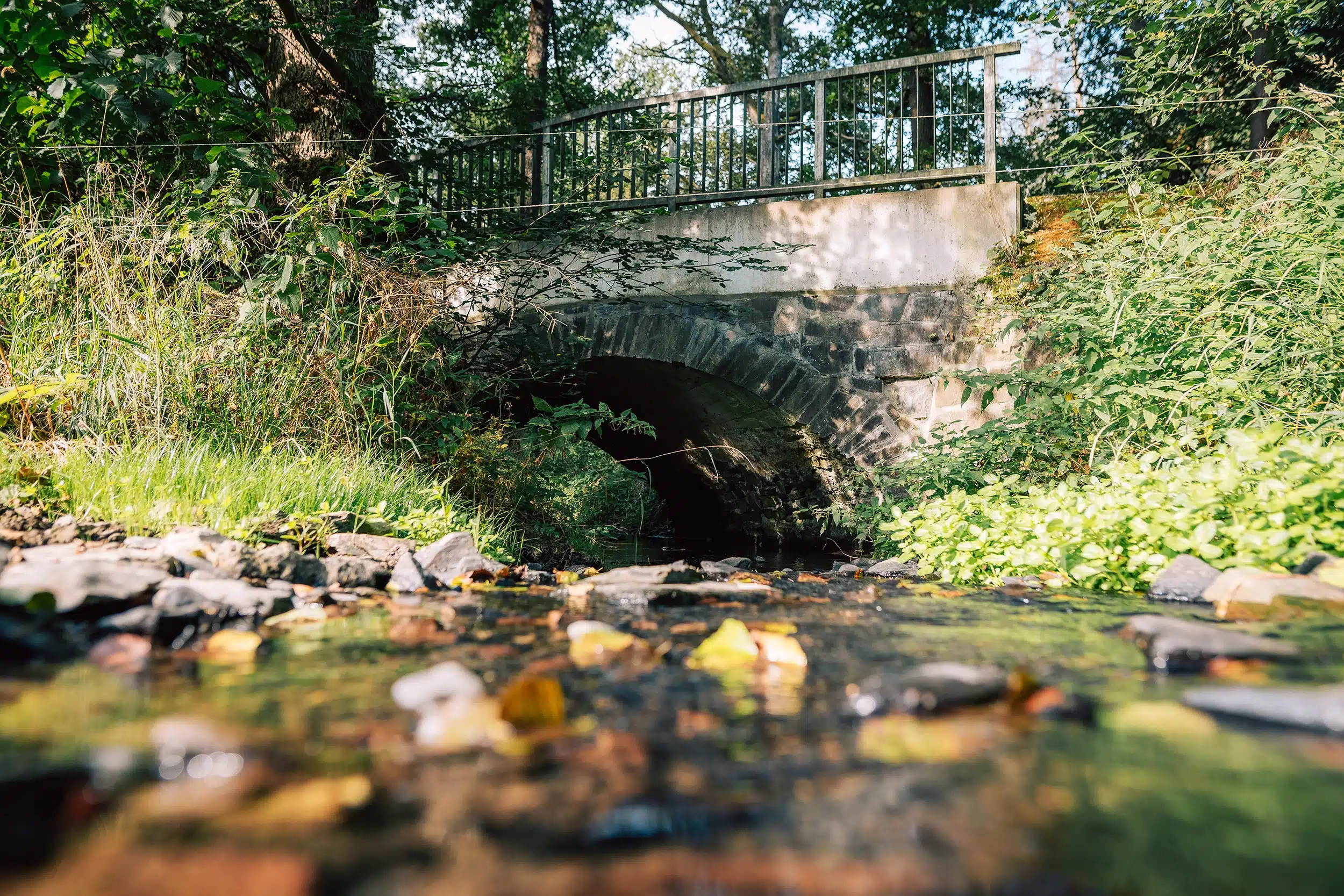 Brücken über Bach – Gewässerunterhaltungsverband Obere Saale:Orla