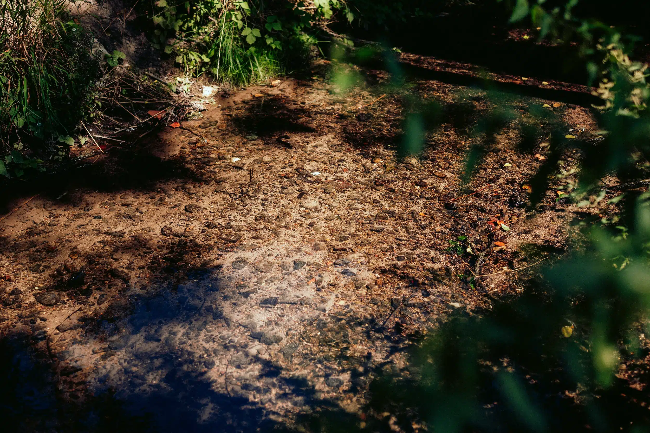 Hohe Wasserqualität – Gewässerunterhaltungsverband Obere Saale:Orla