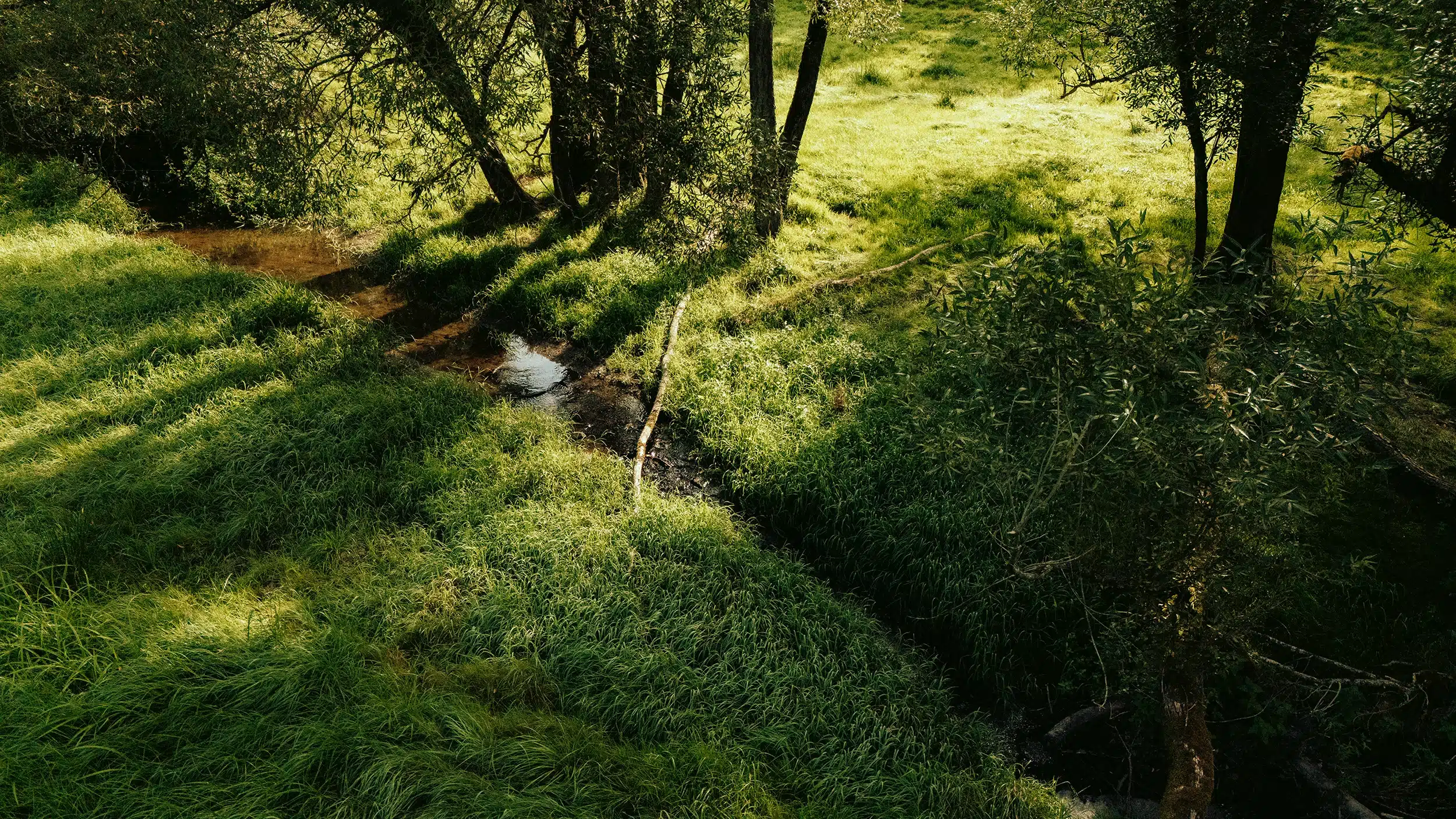 Natürlicher Bachlauf – Gewässerunterhaltungsverband Obere Saale:Orla